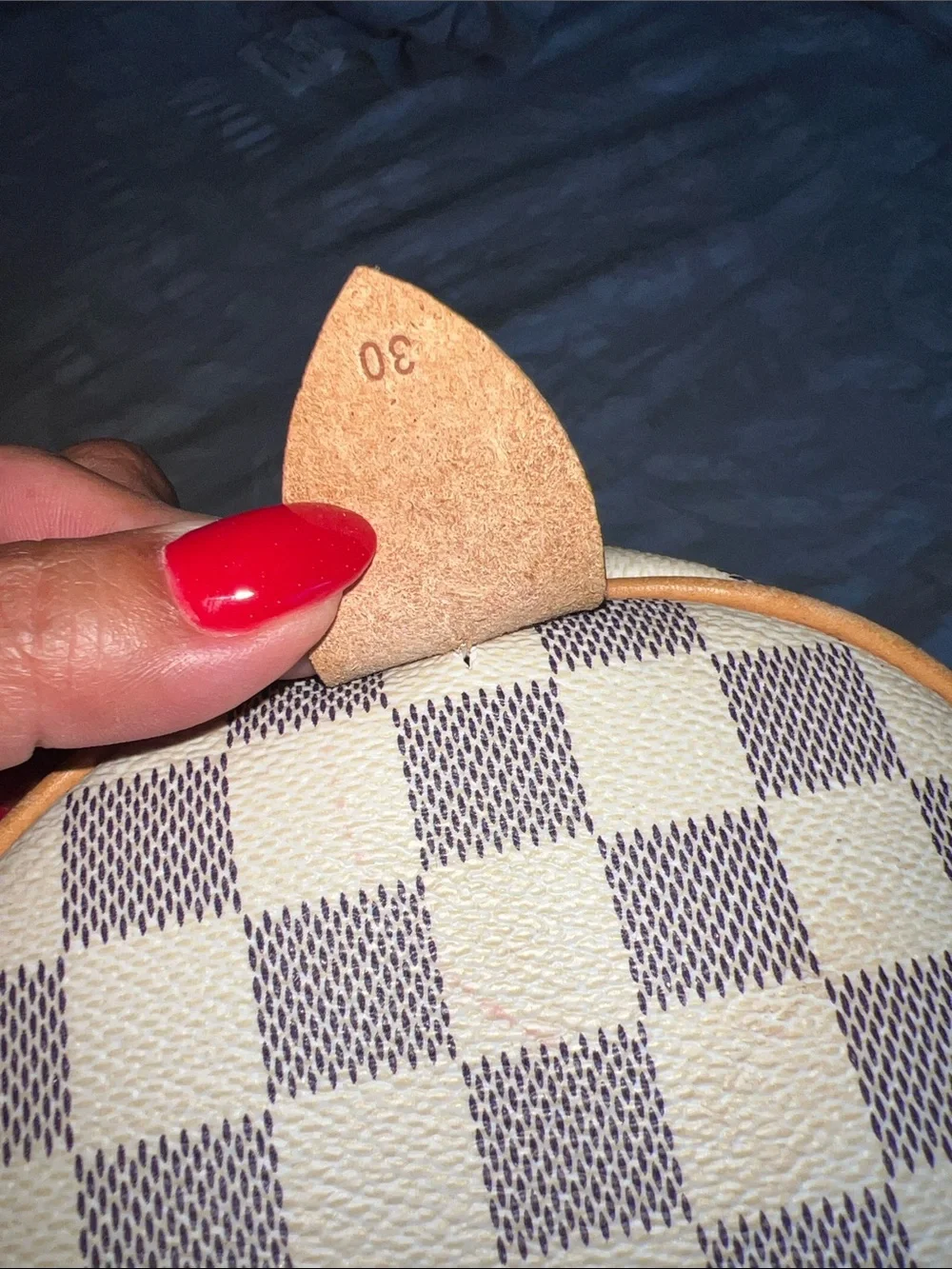 Checkered handbag - White/Blue Check